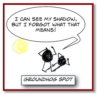 *SpotShadow