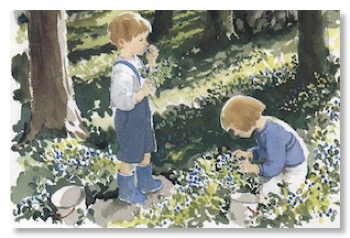 Blueberries