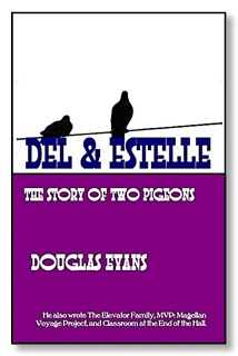 D&Ecover copy
